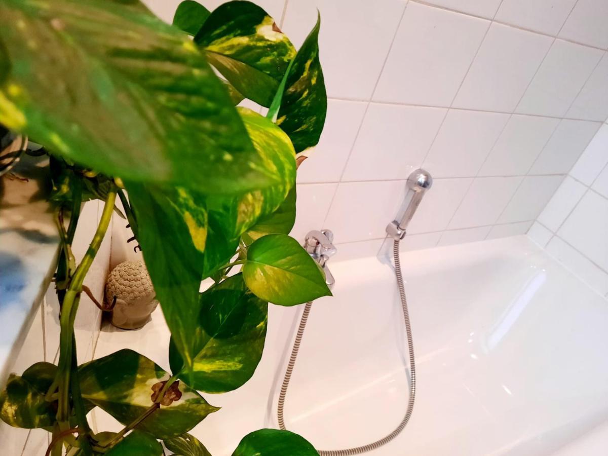 لييج Appartement Ambiance Chalet المظهر الخارجي الصورة